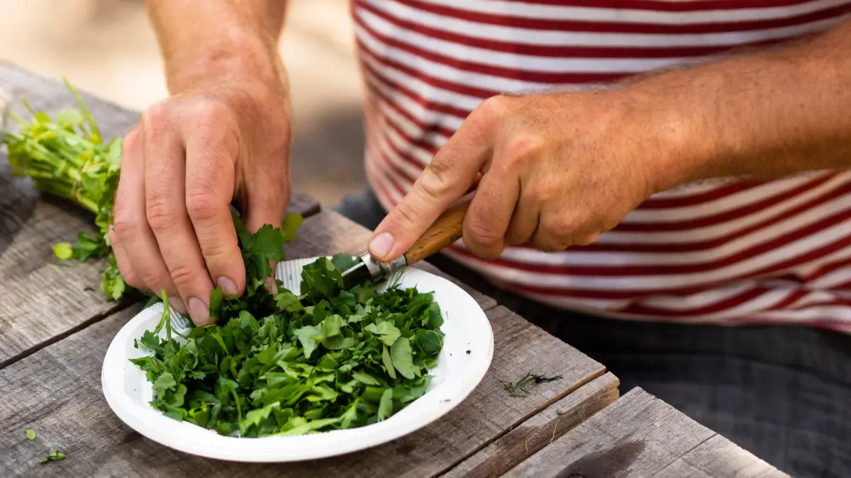 Arugula Benefits for Male