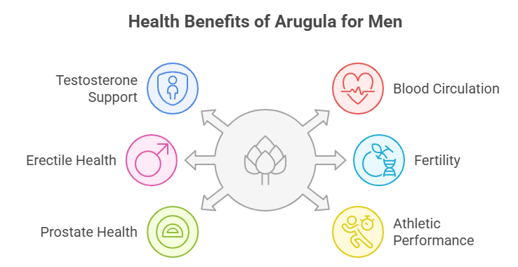 Health Benefits of Arugula for Men